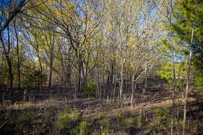 Tract 3 Fm 677, Saint Jo, TX 76265 - Photo 20