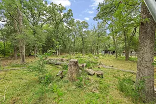 10050 W Fm 744, Barry, TX 75102 - Photo 6