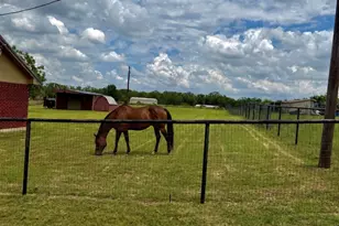 826 Gilliland Rd, Springtown, TX 76082 - Photo 4
