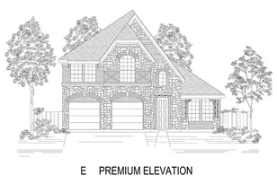 6310 White Creek Drive, Celina, TX 75009 - Photo 2