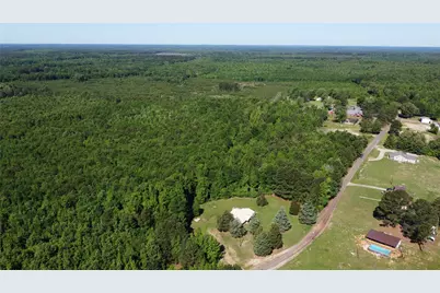 2388 County Road 4455, Bivins, TX 75555 - Photo 6