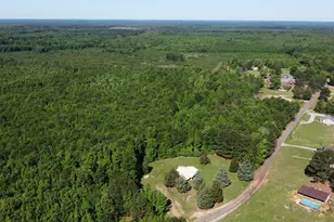 2388 Co Rd 4455, Bivins, TX 75555 - Photo 6
