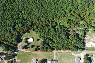 2388 Co Rd 4455, Bivins, TX 75555 - Photo 4
