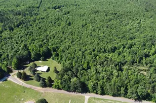 2388 Co Rd 4455, Bivins, TX 75555 - Photo 10