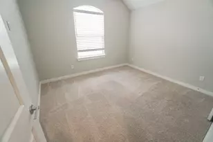 1309 Old Rocksprings Pass, Mansfield, TX 76063 - Photo 10
