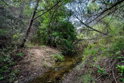 Tbd Fm 203, Glen Rose, TX 76043 - Photo 18