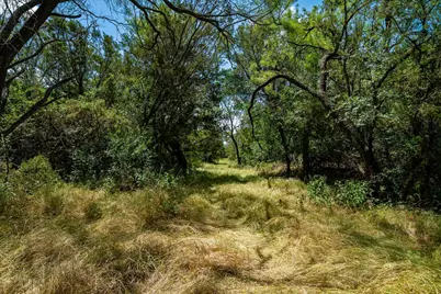 Tbd Fm 203, Glen Rose, TX 76043 - Photo 16