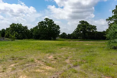 Tbd Fm 203, Glen Rose, TX 76043 - Photo 2