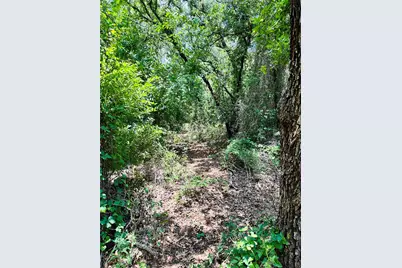 12264 County Road 404, Cross Plains, TX 76443 - Photo 40