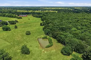 570 Roy Ayres Rd, Bells, TX 75414 - Photo 40