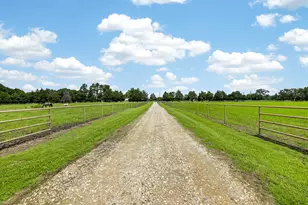 1353 E Fm 1564, Quinlan, TX 75474 - Photo 2