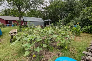 1320 Anna St, Denton, TX 76201 - Photo 34