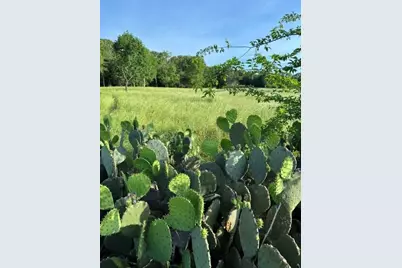 Na County Road 1730, Yantis, TX 75497 - Photo 6