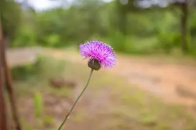 8963 Fm 677 N, Saint Jo, TX 76265 - Photo 24