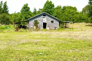 1078 Fm 1519 N, Leesburg, TX 75451 - Photo 6