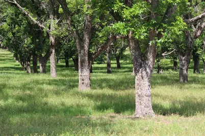 200 Poco Bueno Court, Granbury, TX 76049 - Photo 4