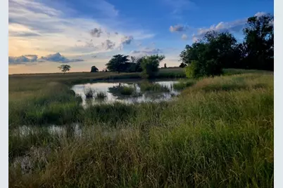 Tbd County Road 4720, Wolfe City, TX 75496 - Photo 6