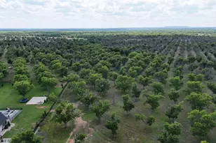 8317 W Landings Rd, Granbury, TX 76049 - Photo 1