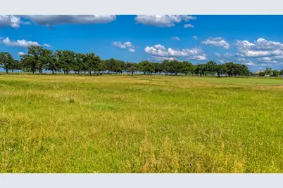 2013 Swallowtail Ct, Poolville, TX 76487 - Photo 8