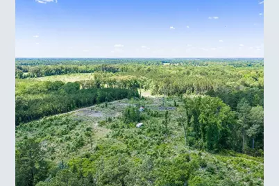 Tbd Mule Deer Road, Gilmer, TX 75644 - Photo 4