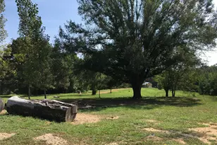 1140 Co Rd 1712, Grand Saline, TX 75140 - Photo 16
