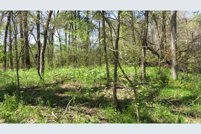 748 County Road 2070, Ravenna, TX 75476 - Photo 10