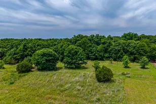 350 Red Top Rd, Poolville, TX 76487 - Photo 4