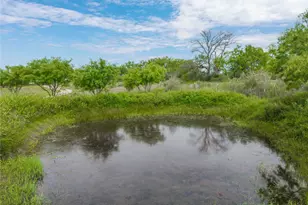 342 Co Rd 433, Mullin, TX 76864 - Photo 34