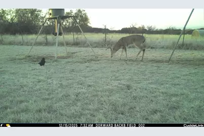 331 County Road 3440, Clifton, TX 76634 - Photo 38