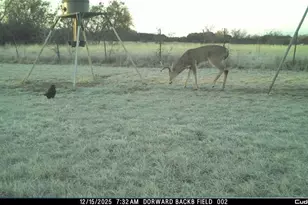 331 County Rd 3440, Clifton, TX 76634 - Photo 38