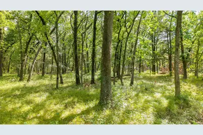 000 Pr 206, Bonham, TX 75418 - Photo 6