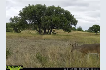 1146 Hidden Cove Trail, Glen Rose, TX 76043 - Photo 6