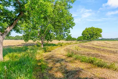 32.07 Ac. Riverfront Tbd Hwy 6, Valley Mills, TX 76689 - Photo 30
