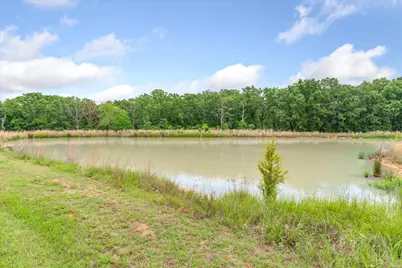 863 Vz County Road 1815, Grand Saline, TX 75140 - Photo 36