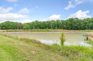 863 Vz County Road 1815, Grand Saline, TX 75140 - Photo 36