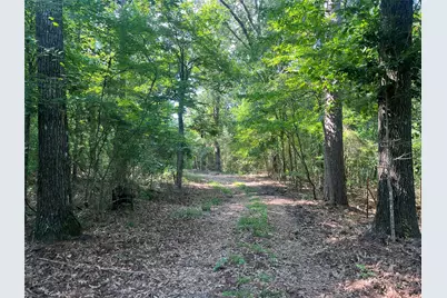 Tbd Hwy 135, Troup, TX 75789 - Photo 6