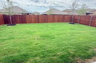 2117 Mantua Farm Blvd, Anna, TX 75409 - Photo 26