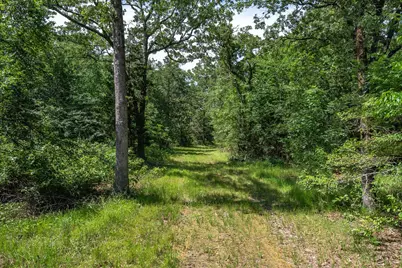 Tbd Pvt. Rd 8079 Road, Ben Wheeler, TX 75754 - Photo 36