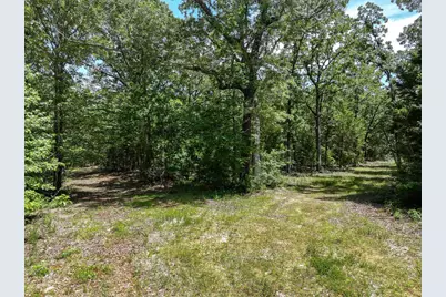 Tbd Pvt. Rd 8079 Road, Ben Wheeler, TX 75754 - Photo 18