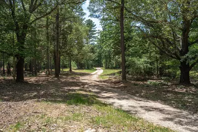Tbd Pvt. Rd 8079 Road, Ben Wheeler, TX 75754 - Photo 1