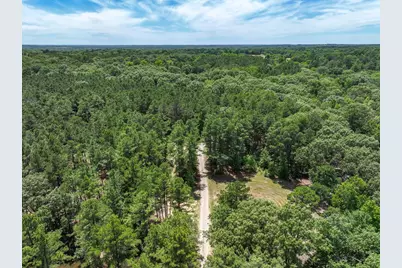 Tbd Pvt. Rd 8079 Road, Ben Wheeler, TX 75754 - Photo 16