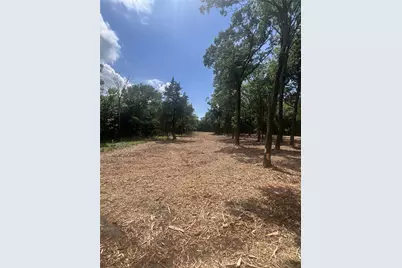 0 County Rd 2980, Windom, TX 75492 - Photo 2
