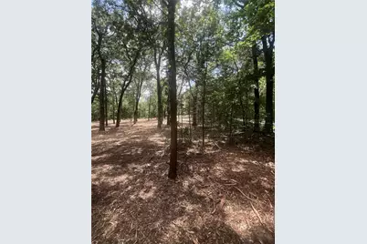 0 County Rd 2980, Windom, TX 75492 - Photo 4