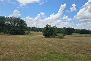 2225 Co Rd 700, Farmersville, TX 75442 - Photo 4