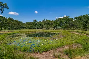 811 Vz County Rd 3211, Wills Point, TX 75169 - Photo 22