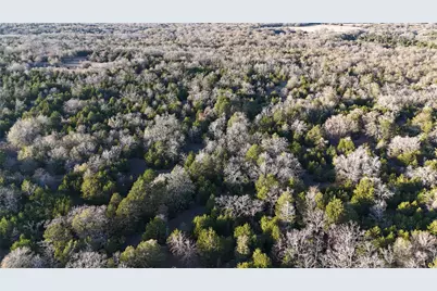 Tbd County Road 890, Mexia, TX 76667 - Photo 1