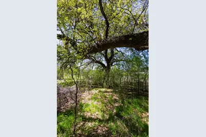 Lot 446 Indigo Bush, Possum Kingdom Lake, TX 76449 - Photo 6