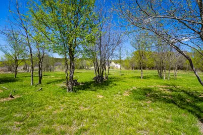 Lot 446 Indigo Bush, Possum Kingdom Lake, TX 76449 - Photo 14