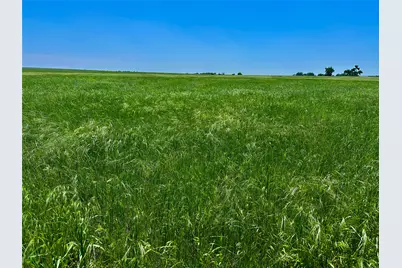 Tbd Cr 204, Valley View, TX 76272 - Photo 4