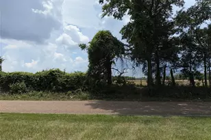 2118 Co Rd 4110, Pittsburg, TX 75686 - Photo 4